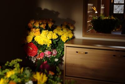 IMG 7084